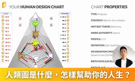 人類圖4/6工作|【人類圖4/6工作】揭秘人類圖4/6工作，發揮影響眾生的使命